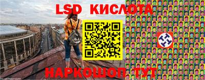 шишки Можайск
