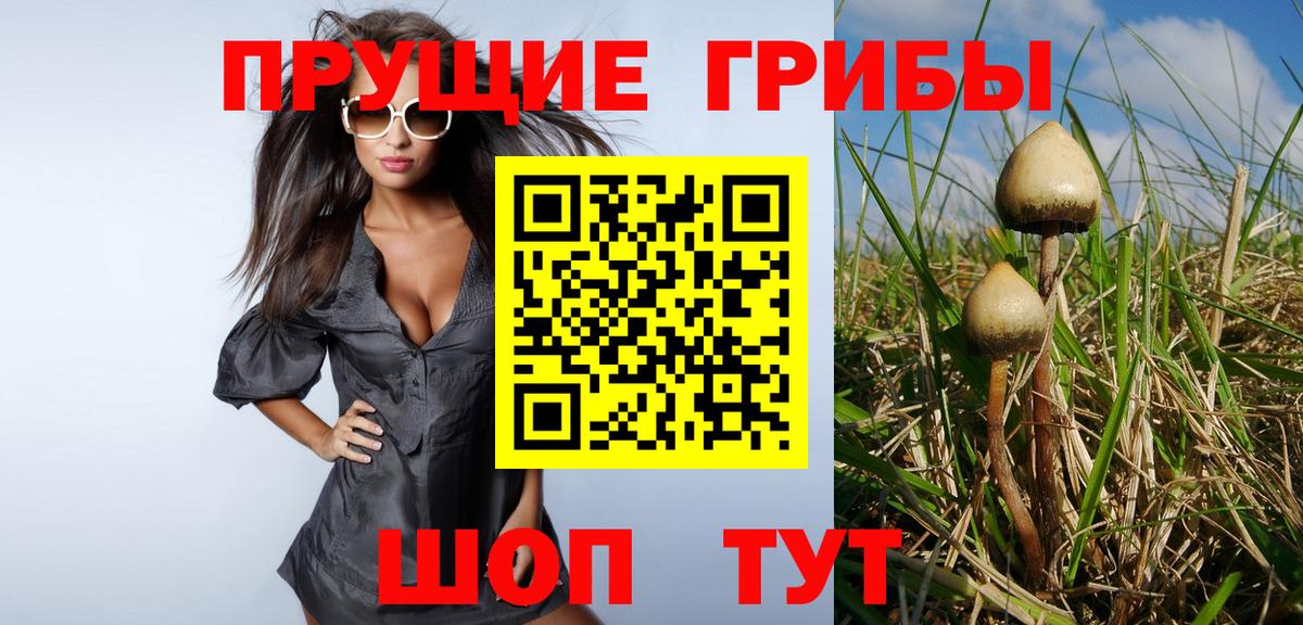 Галлюциногенные грибы Psilocybe  Вход с VPN  Чита  Псилоцибиновые грибы мухоморы 